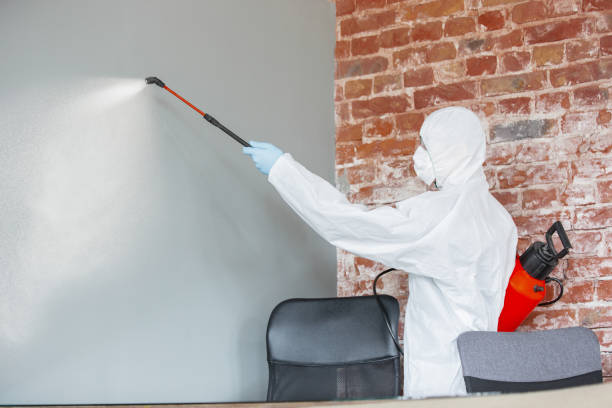 Best Crawl Space Mold Remediation  in Manor, TX