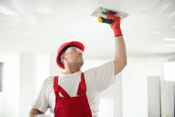 Best Real Estate Mold Inspection  in Manor, TX