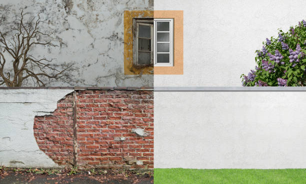 Reliable Manor, TX Mold Removal Solutions