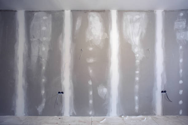 Best Mold Documentation for Insurance Claims  in Manor, TX