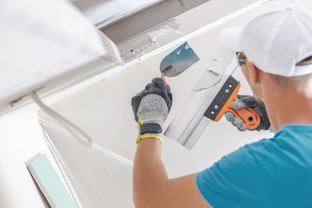 Best Mold-Related Health Consultation  in Manor, TX